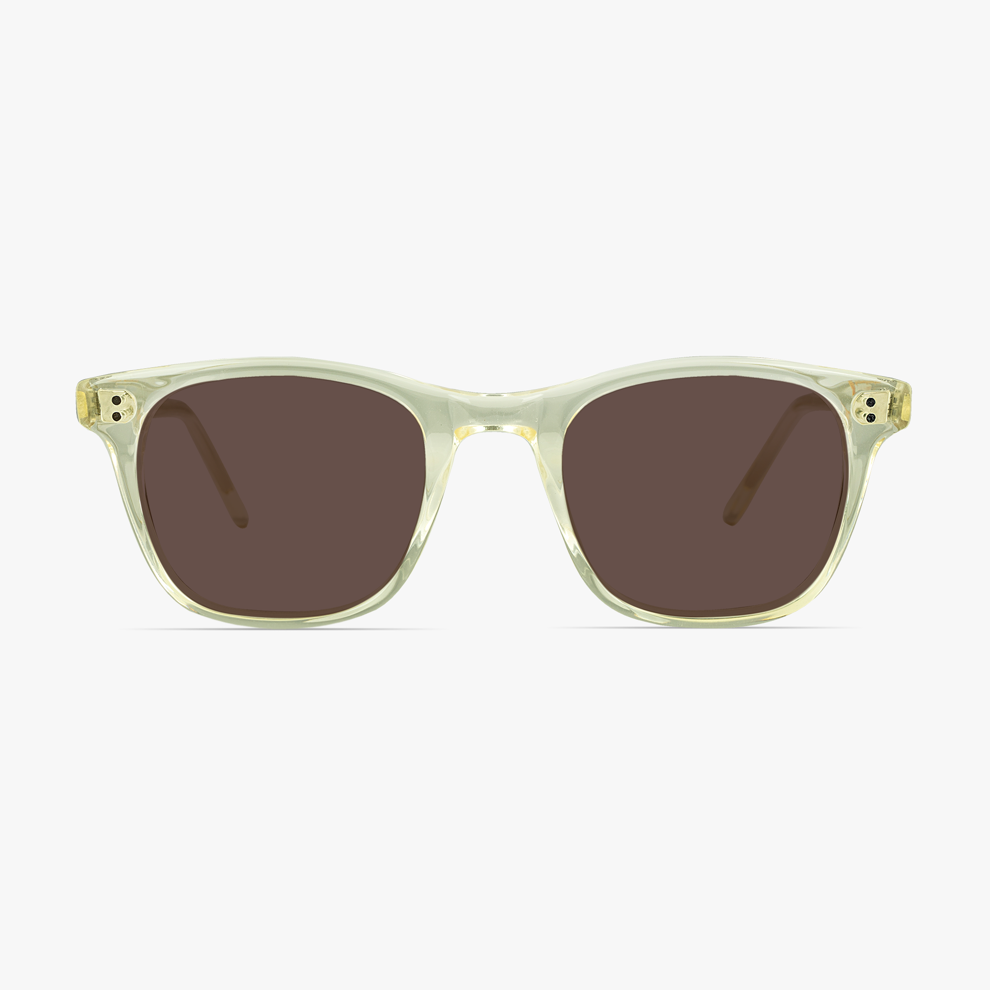 Carey Square Champagne Sunglasses for men and women from Framesfoundry - Front View