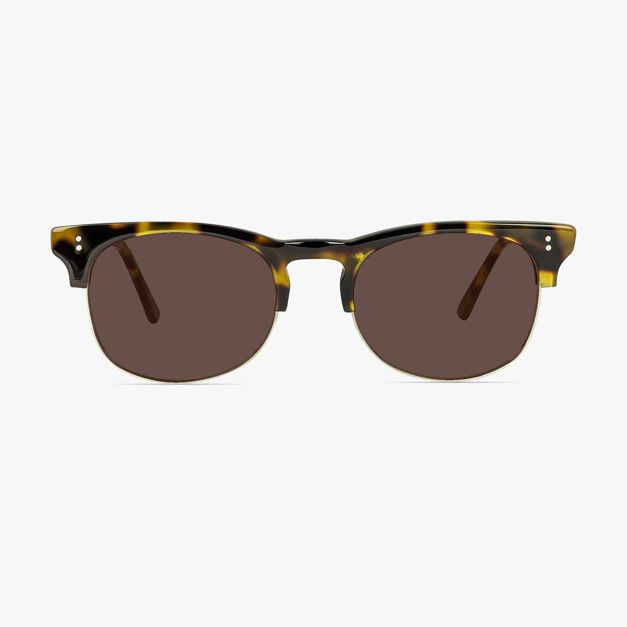 Holborn Oval Tortoise Shell Retro Glasses for Men and Women from Framesfoundry - Sunglasses Front View
