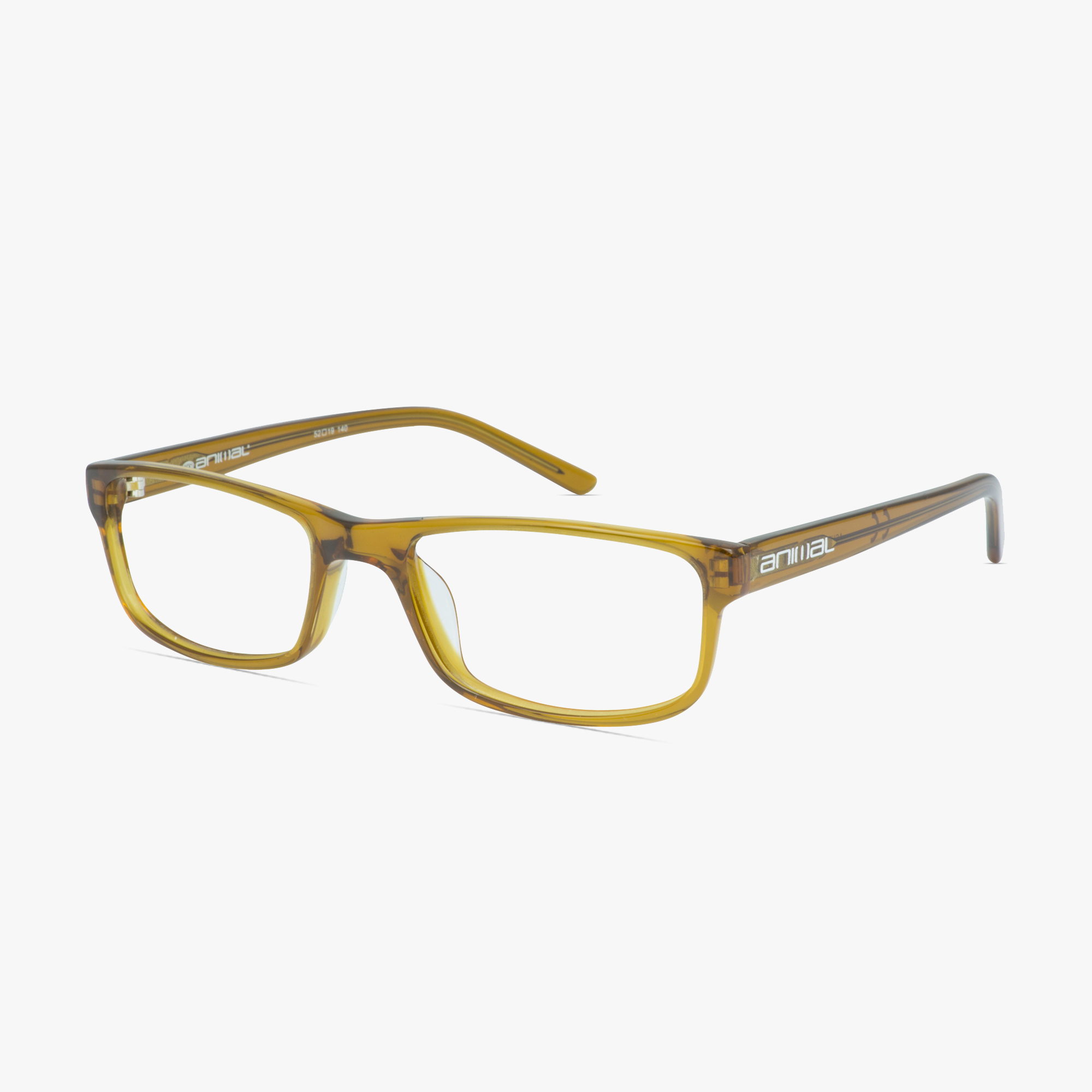 Animal ANIS002 Ashton Gold Glasses for Men from Framesfoundry - Angle View