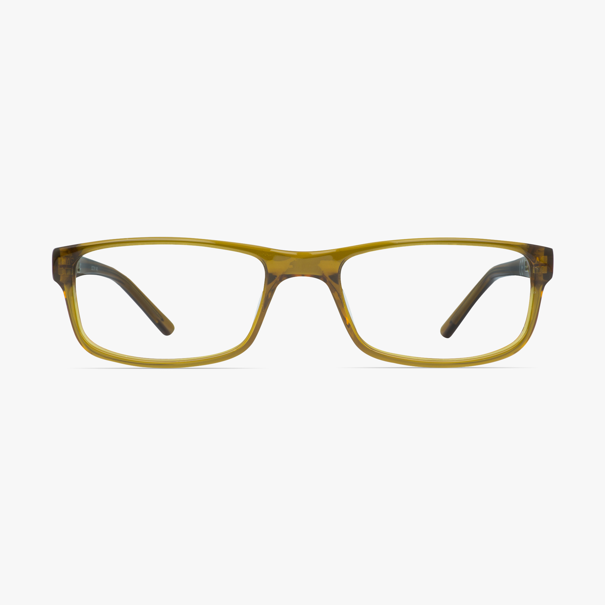Animal ANIS002 Ashton Gold Glasses for Men from Framesfoundry - Front View