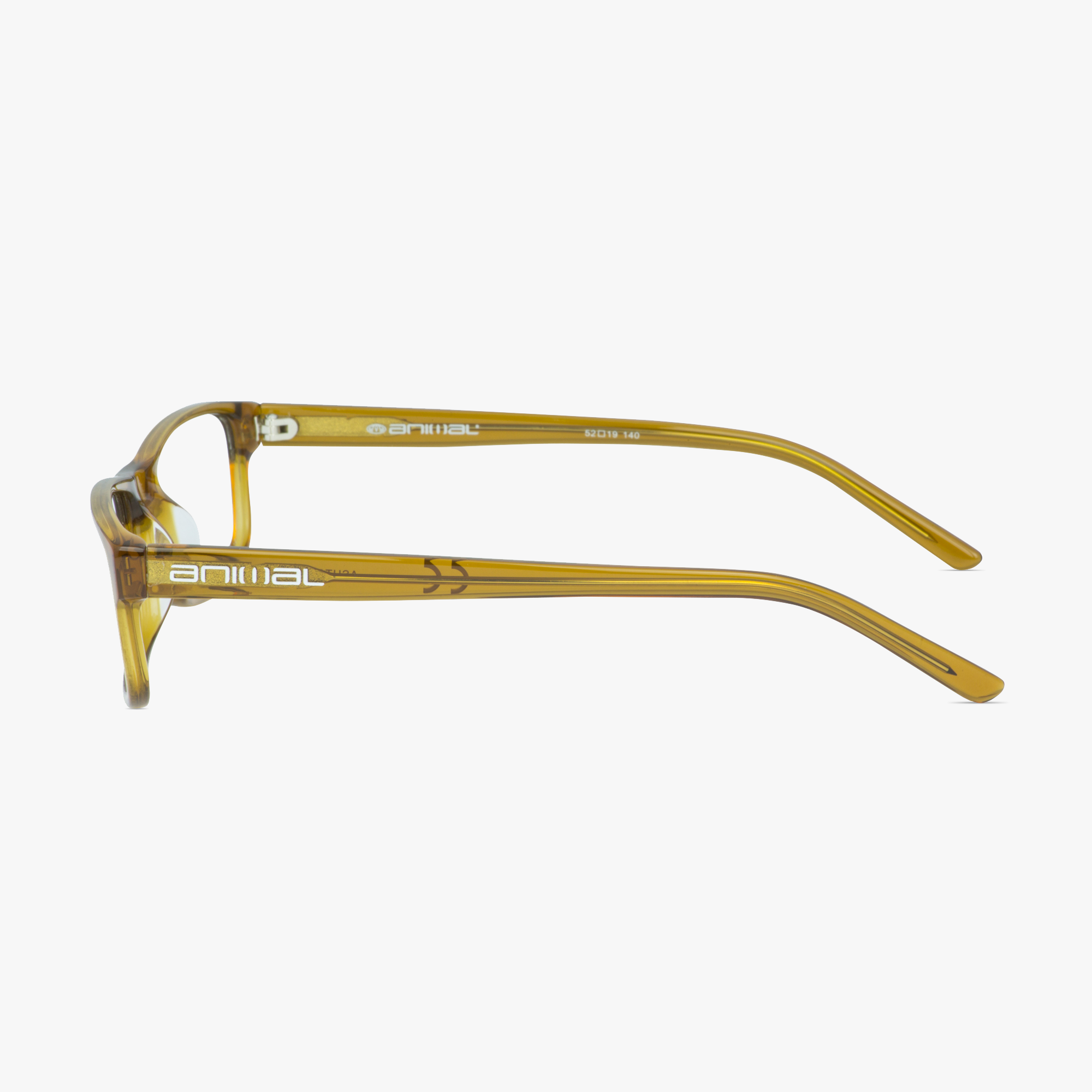 Animal ANIS002 Ashton Gold Glasses for Men from Framesfoundry - Side View