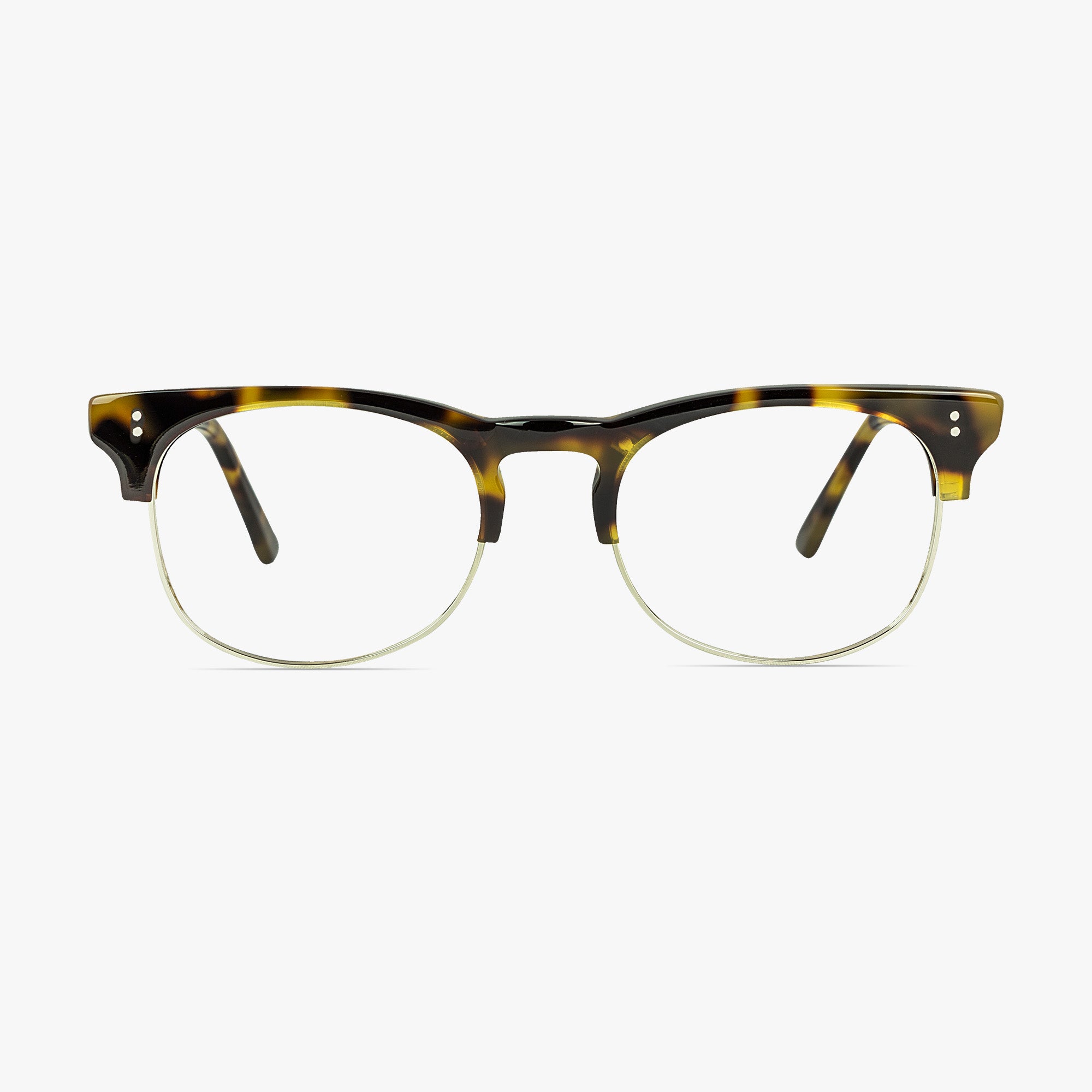 Holborn Oval Tortoise Shell Retro Glasses for Men and Women from Framesfoundry - Front View