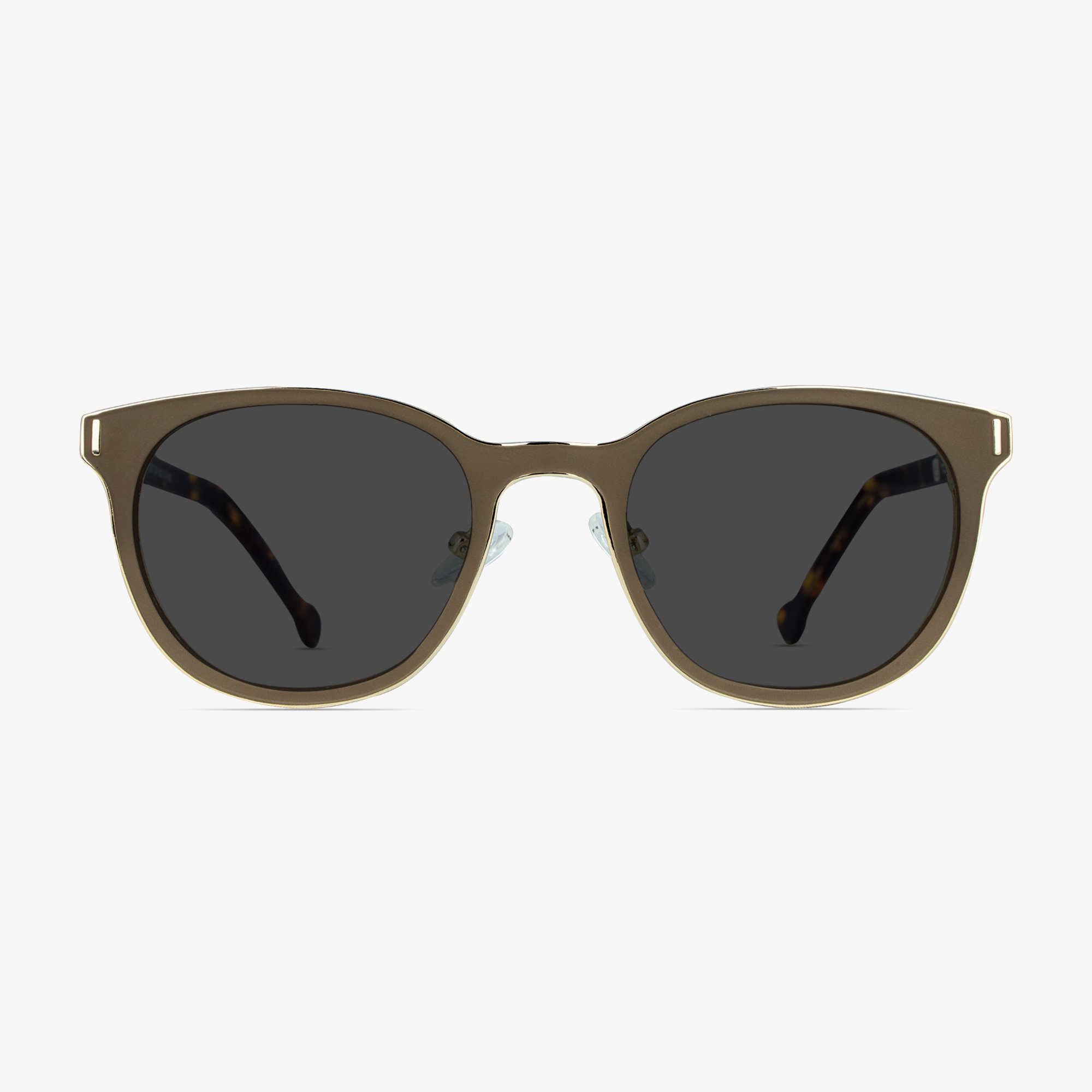 Finn Pebble Stainless Steel Sunglasses for Men and Women from Framesfoundry - Front View