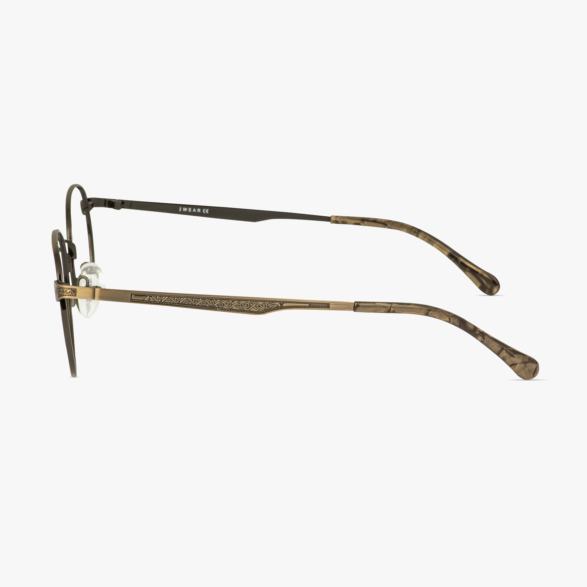 iWear 6060 Stainless Steel Earth Ombre Glasses for Men and Women from Framesfoundry - Side View
