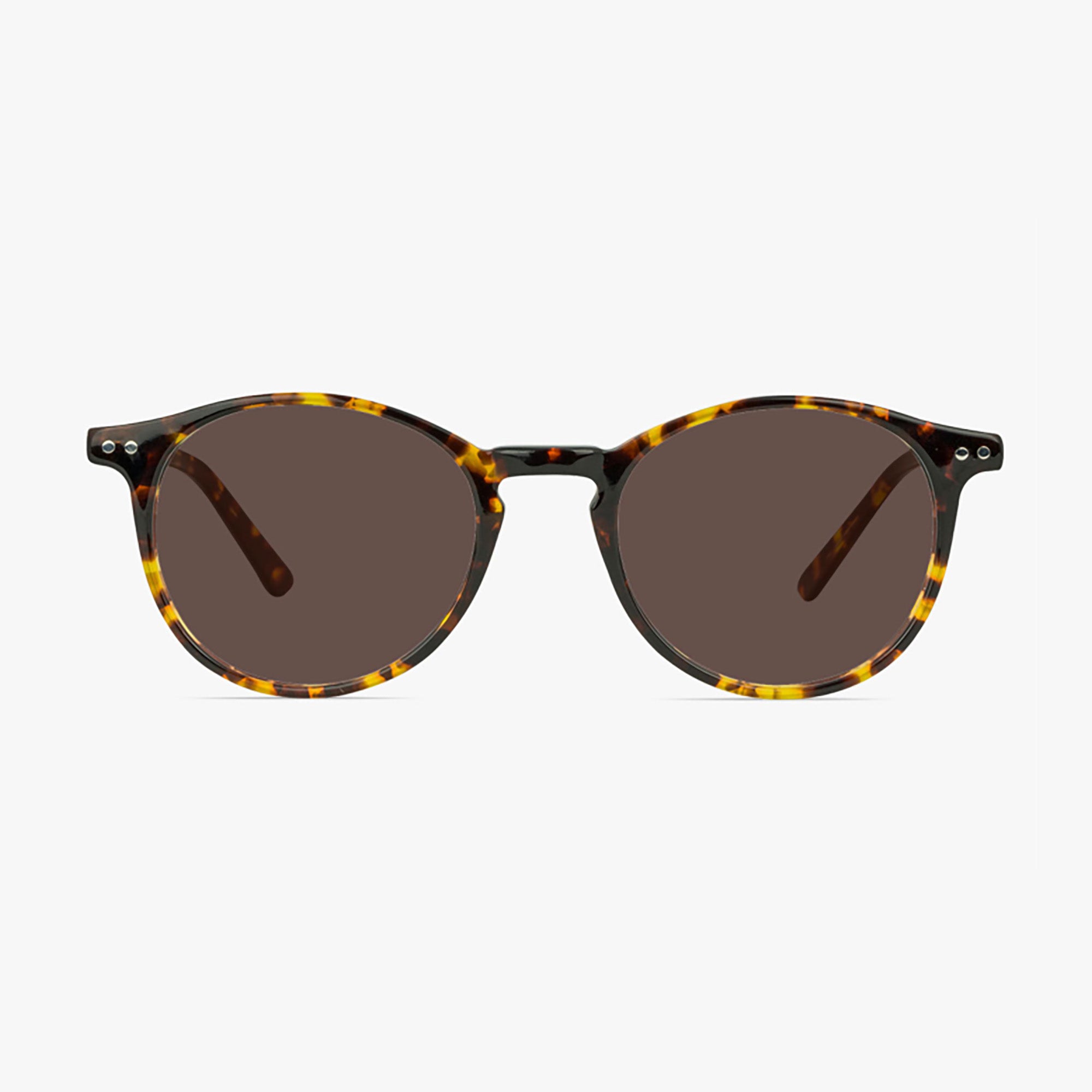 Liverpool Tortoise Shell Round Sunglasses for Men and Women from Framesfoundry - Front View