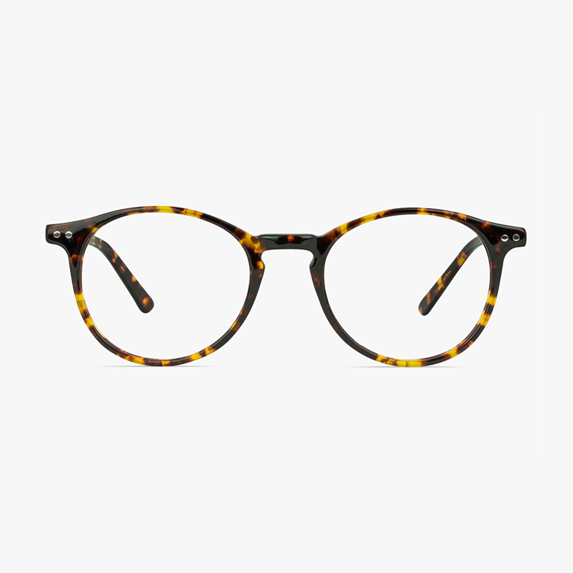 Liverpool Tortoise Shell Round Glasses for Men and Women from Framesfoundry - Front View